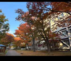 信州大学歯科口腔外科